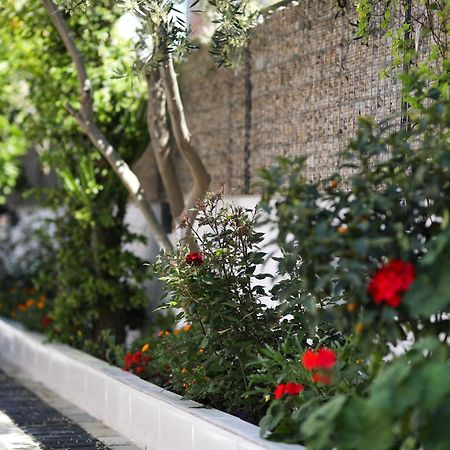 Vila Feliz - Premium Rooms With Free Private Parking Vlore Ngoại thất bức ảnh