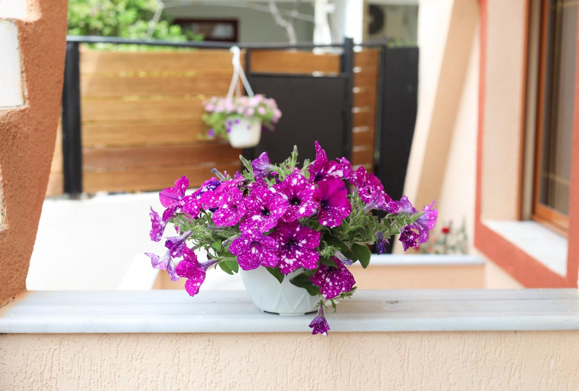 Vila Feliz - Premium Rooms With Free Private Parking Vlore Ngoại thất bức ảnh