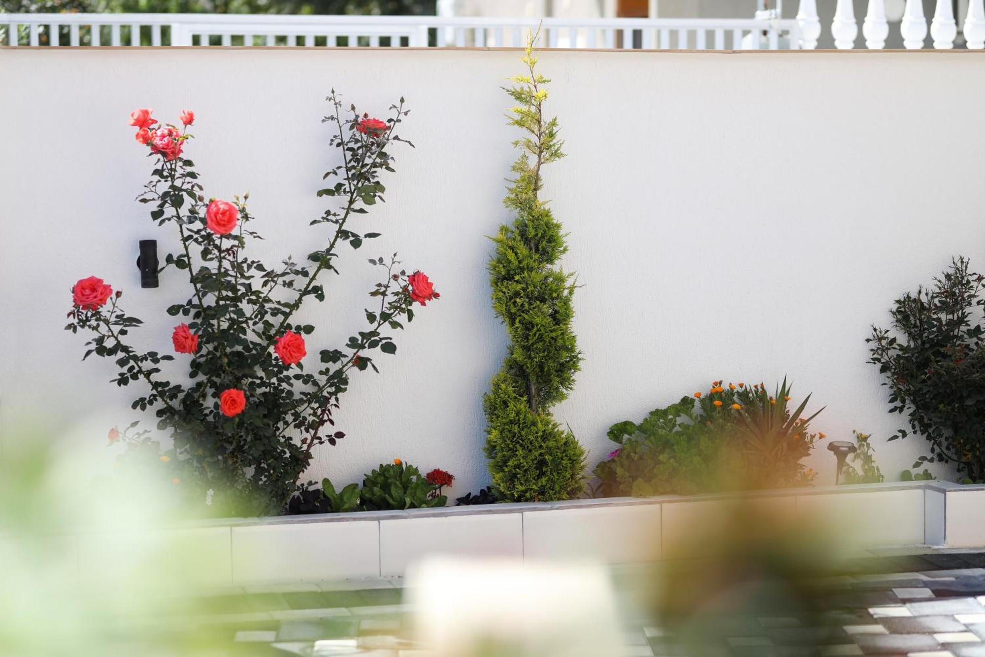 Vila Feliz - Premium Rooms With Free Private Parking Vlore Ngoại thất bức ảnh