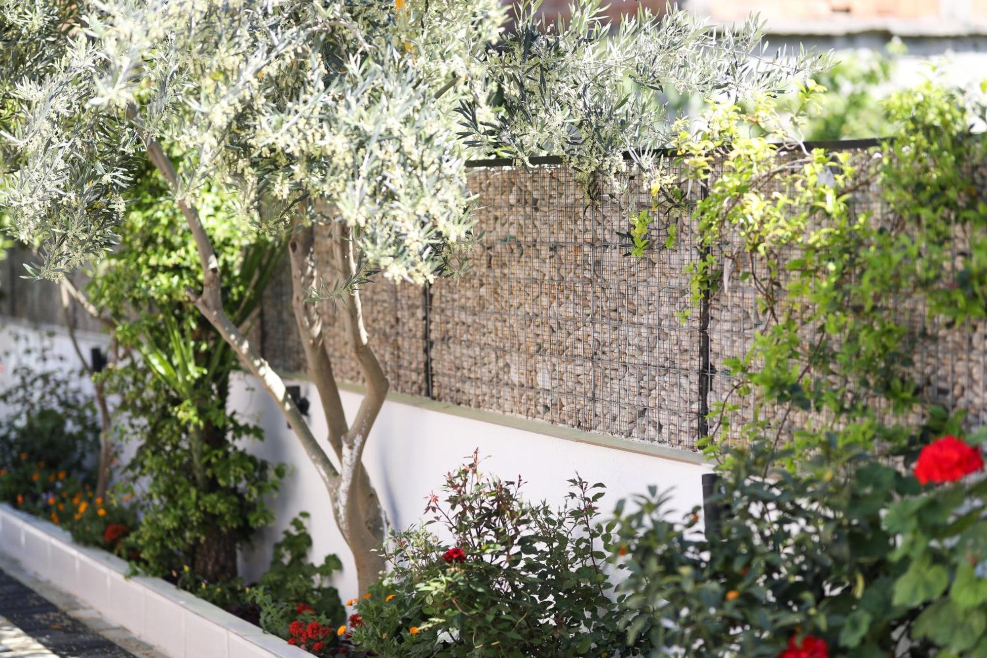 Vila Feliz - Premium Rooms With Free Private Parking Vlore Ngoại thất bức ảnh